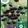 Kornblume Black Boy | Kornblumensamen Von Nelson Garden -Mohnsams Geschaft 552238 Kornblume Black Boy 93362A ng 0