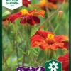 Ringelblumen Linnaeus | Ringelblumensamen Von Nelson Garden -Mohnsams Geschaft 552247 Ringelblumen Linnaeus 95644A ng 0