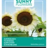 Sonnenblume White Moon F1 | Sonnenblumensamen Von Buzzy Seeds 1 Sonnenblume White Moon F1 | Sonnenblumensamen Von Buzzy Seeds -Mohnsams Geschaft 552553 Sonnenblume White Moon F1 80827 by 0