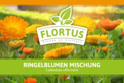 Ringelblumen Mischung | Blumenwiese Von FLORTUS -Mohnsams Geschaft 554533 Ringelblumen Mischung 1 kg 530747 Ringelblumen Mischung 1 kg 2000 0209 2