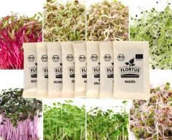 Keimsprossen Set Regenbogen (8 Sorten) | BIO Keimsprossen Sets Von FLORTUS | BIO Gewürze Set -Mohnsams Geschaft 554611 BIO Keimsprossen Set Regenbogen 8 Sorten 2000 0739 5