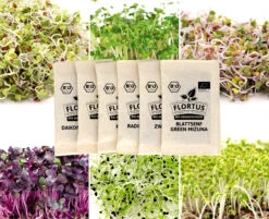 Keimsprossen Set Scharf (6 Sorten) | BIO Keimsprossen Sets Von FLORTUS -Mohnsams Geschaft 554613 BIO Keimsprossen Set Scharf 6 Sorten 2000 0737 5