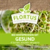 Keimsprossen Set Gesund (4 Sorten) | BIO Keimsprossen Sets Von FLORTUS 2 Keimsprossen Set Gesund (4 Sorten) | BIO Keimsprossen Sets Von FLORTUS -Mohnsams Geschaft 554614 BIO Keimsprossen Set Gesund 4 Sorten 2000 0736 1