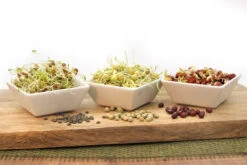 Keimsprossen Set Hülsenfrüchte (6 Sorten) | BIO Keimsprossen Sets Von FLORTUS -Mohnsams Geschaft 554618 BIO Keimsprossen Set Huelsenfruechte 6 Sorten 2000 0732 4