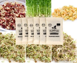 Keimsprossen Set Hülsenfrüchte (6 Sorten) | BIO Keimsprossen Sets Von FLORTUS -Mohnsams Geschaft 554618 BIO Keimsprossen Set Huelsenfruechte 6 Sorten 2000 0732 5