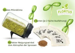 Keimsprossen Anzuchtset - Küchengrundlage (6 Sorten) | BIO Keimsprossen Sets Von FLORTUS 11 Keimsprossen Anzuchtset - Küchengrundlage (6 Sorten) | BIO Keimsprossen Sets Von FLORTUS -Mohnsams Geschaft 554736 BIO Keimsprossen Anzuchtset Kuechengrundlage 2000 0744 2
