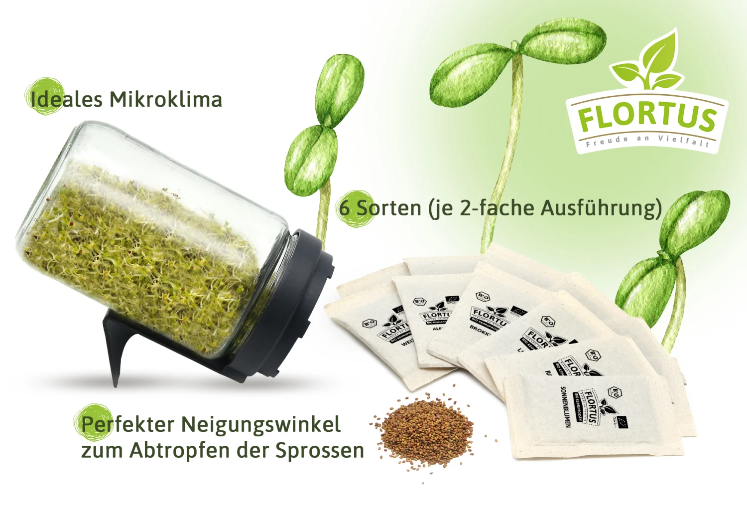 Keimsprossen Anzuchtset - Küchengrundlage (6 Sorten) | BIO Keimsprossen Sets Von FLORTUS 7 Keimsprossen Anzuchtset - Küchengrundlage (6 Sorten) | BIO Keimsprossen Sets Von FLORTUS – Bild 5