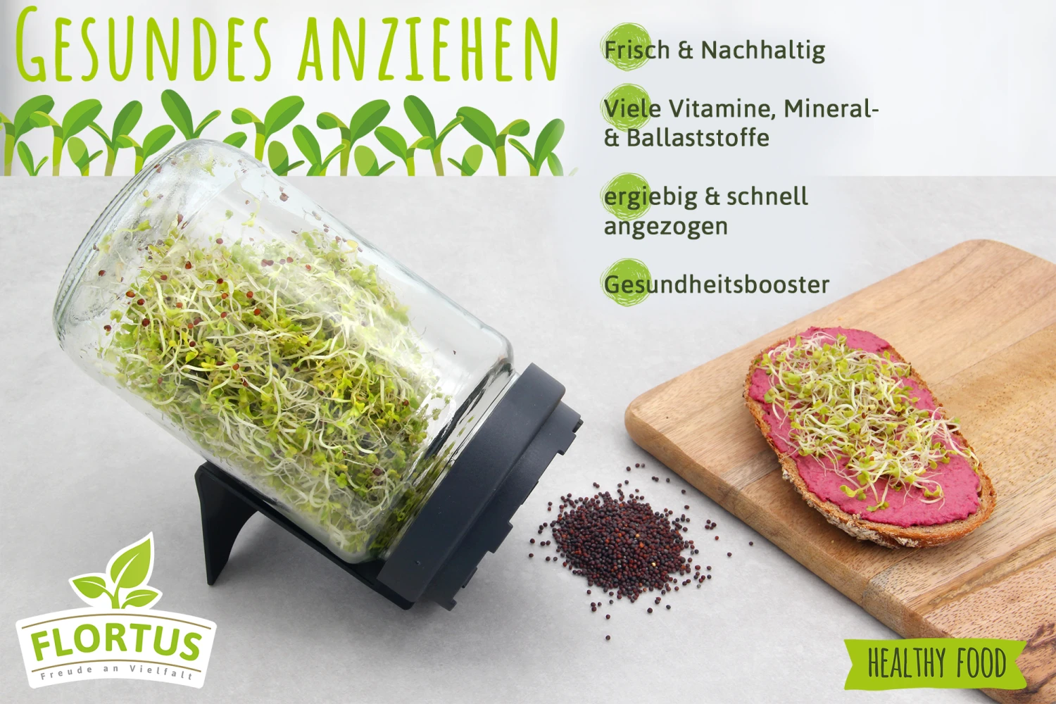 Keimsprossen Anzuchtset - Küchengrundlage (6 Sorten) | BIO Keimsprossen Sets Von FLORTUS 4 Keimsprossen Anzuchtset - Küchengrundlage (6 Sorten) | BIO Keimsprossen Sets Von FLORTUS – Bild 2