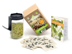 Keimsprossen Anzuchtset - Küchengrundlage (6 Sorten) | BIO Keimsprossen Sets Von FLORTUS 10 Keimsprossen Anzuchtset - Küchengrundlage (6 Sorten) | BIO Keimsprossen Sets Von FLORTUS -Mohnsams Geschaft 554736 BIO Keimsprossen Anzuchtset Kuechengrundlage 6 Sorten 2000 0744 0