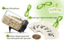 Keimsprossen Anzuchtset - Sprossen Mischungen (6 Sorten) | BIO Keimsprossen Sets Von FLORTUS -Mohnsams Geschaft 554739 BIO Keimsprossen Anzuchtset Sprossen Mischungen 2000 0747 2