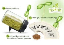 Keimsprossen Anzuchtset - Salat Grundlage (6 Sorten) | BIO Keimsprossen Sets Von FLORTUS -Mohnsams Geschaft 554741 BIO Keimsprossen Anzuchtset Salat Grundlage 2000 0749 2