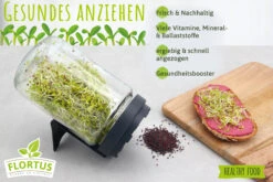 Keimsprossen Anzuchtset - Salat Grundlage (6 Sorten) | BIO Keimsprossen Sets Von FLORTUS -Mohnsams Geschaft 554741 BIO Keimsprossen Anzuchtset Salat Grundlage 2000 0749 4