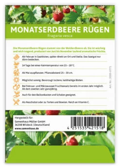 Monatserdbeere Rügen (100 Tütchen) | Erdbeersamen Von FLORTUS -Mohnsams Geschaft 555104 Monatserdbeere Ruegen 100 Tuetchen 2000 0771 100x 2