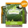Wassermelone Sugar Baby (100 Tütchen) | BIO Wassermelonensamen Von FLORTUS -Mohnsams Geschaft 555109 Wassermelone Sugar Baby 100 Tuetchen 2000 0776 100x 0