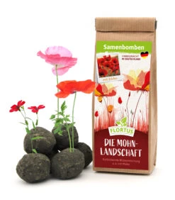 Samenbomben Die Mohnlandschaft (6 Stück) | Mohnsamen Von FLORTUS -Mohnsams Geschaft 562163 Samenbomben Die Mohnlandschaft 6 Stueck 2000 1054 1
