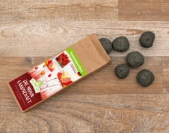 Samenbomben Die Mohnlandschaft (6 Stück) | Mohnsamen Von FLORTUS -Mohnsams Geschaft 562163 Samenbomben Die Mohnlandschaft 6 Stueck 2000 1054 3