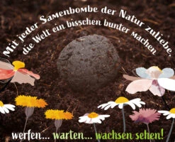 Samenbomben Urlaub Auf Balkonien (6 Stück) | Blumensamenmischung Von FLORTUS -Mohnsams Geschaft 562167 Samenbomben Urlaub auf Balkonien 6 Stueck 2000 1058 5