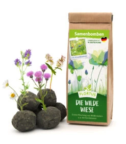 Samenbomben Die Wilde Wiese (6 Stück) | Wildblumenwiese Von FLORTUS -Mohnsams Geschaft 562168 Samenbomben Die wilde Wiese 6 Stueck 2000 1059 1