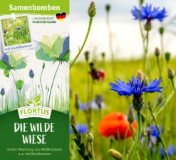 Samenbomben Die Wilde Wiese (6 Stück) | Wildblumenwiese Von FLORTUS -Mohnsams Geschaft 562168 Samenbomben Die wilde Wiese 6 Stueck 2000 1059 2