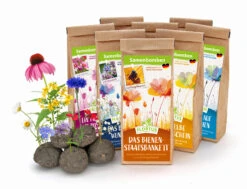 Samenbomben Set (8 Päckchen) | Blumensamenmischung Von FLORTUS -Mohnsams Geschaft 562498 Samenbomben Set 8 Paeckchen 2000 2367 1