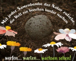 Samenbomben Set (8 Päckchen) | Blumensamenmischung Von FLORTUS -Mohnsams Geschaft 562498 Samenbomben Set 8 Paeckchen 2000 2367 7 1